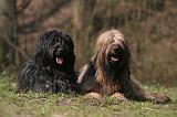 BRIARD 067